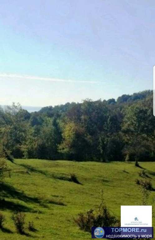 Продается ровный участок в лесо-парковой зоне пос.Кудепста. Отличное уединенное место, идеально для строительства... - 1