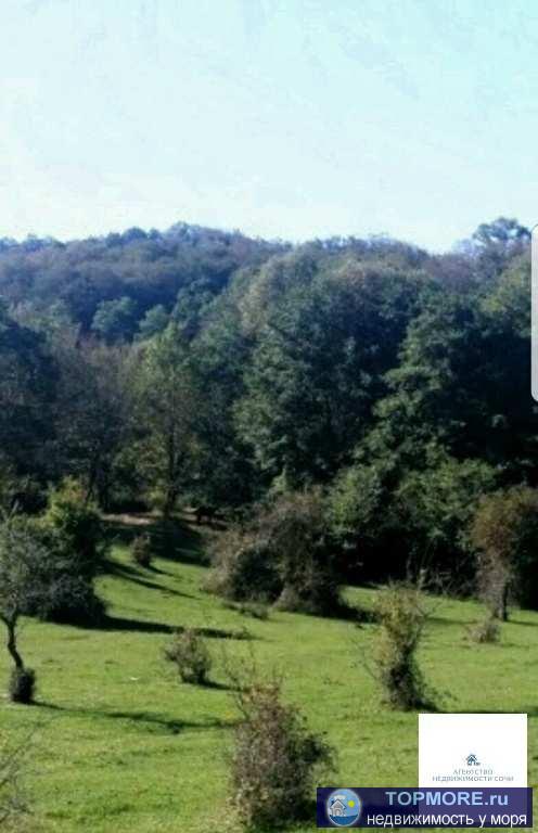 Продается ровный участок в лесо-парковой зоне пос.Кудепста. Отличное уединенное место, идеально для строительства... - 2