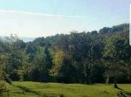 Продается ровный участок в лесо-парковой зоне пос.Кудепста....