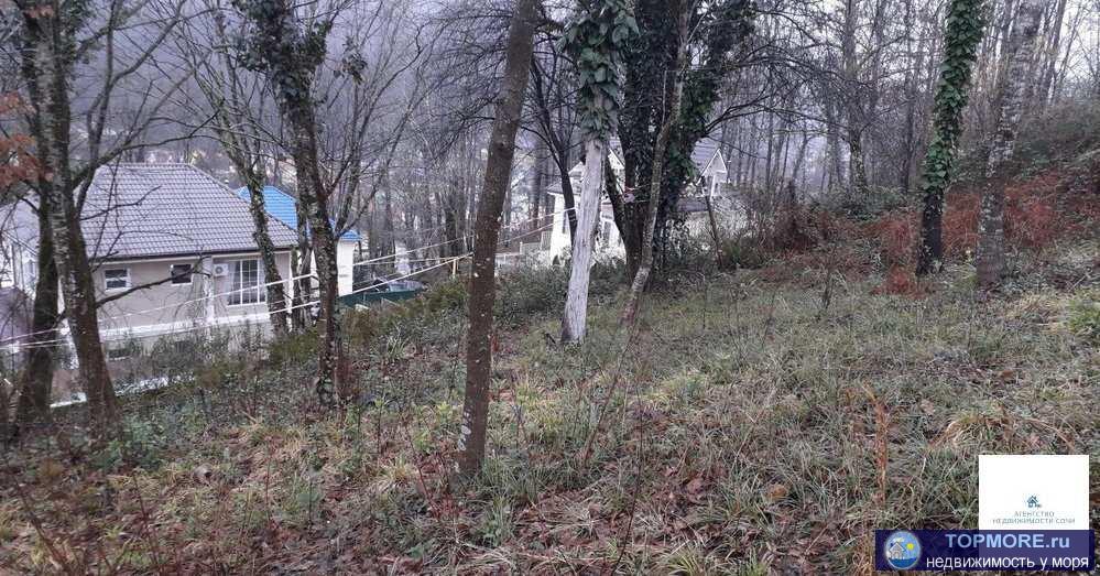 Участок в Котеджном посёлке.Относительно ровный.прямо над футбольным полем.Хорошая дорога - 2