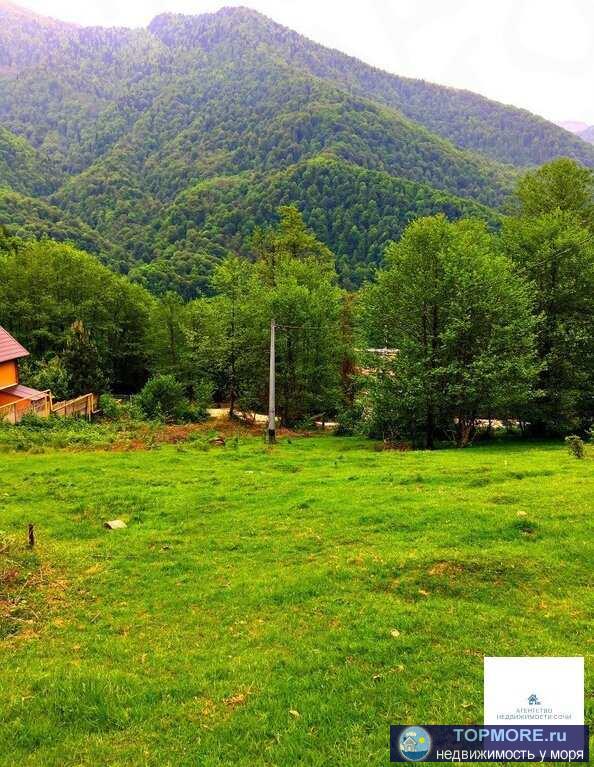 Продется участок в Красной поляне. Участок правильной формы, расположен на небольшом склоне. Шикарный вид на горный... - 1