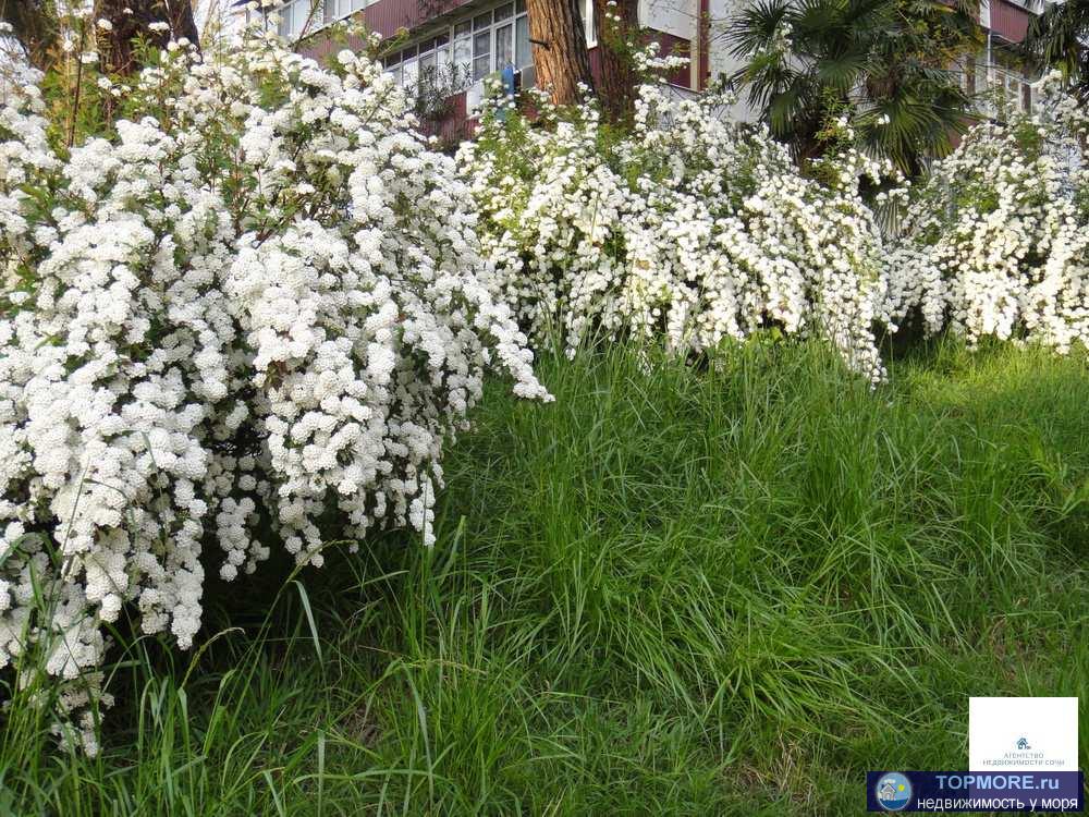 Квартира находится в Центральном районе гор. Сочи (Краснодарский край) по ул. Гончарова. Вид права: собственность... - 1