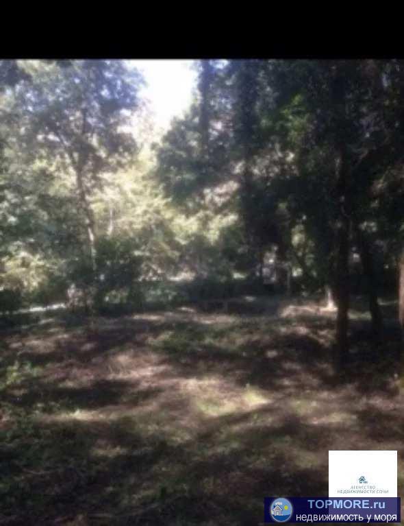 Стоимость до 15 сентября , 22 сотки земли, 300 метров от центра Мацесты. Абсолютно ровный участок, вокруг лес, речка,...