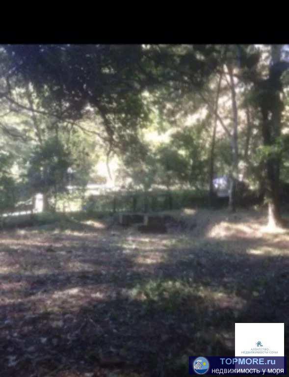 Стоимость до 15 сентября , 22 сотки земли, 300 метров от центра Мацесты. Абсолютно ровный участок, вокруг лес, речка,... - 2