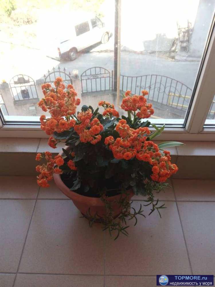 Низ Макаренко — это весьма удобное для проживания место.В пешей доступности — несколько крупных... - 2