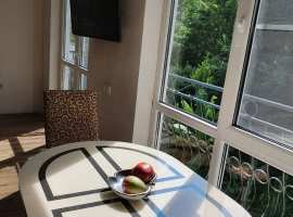 Продаю квартиру с ремнотом и мебелью. В зеленой зоне, тихо и...