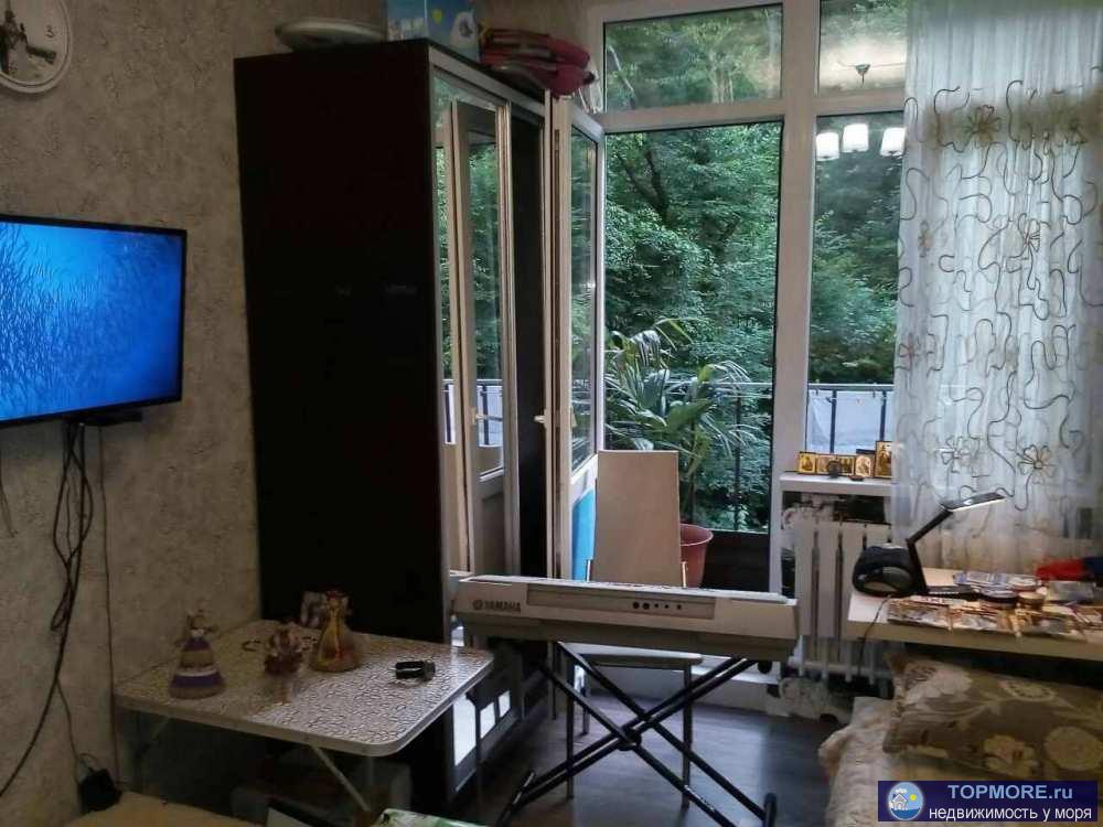 Продажа / Квартиры, Сочи, Делегатская улица, 6 500 000 р. продам 2Х уровневую студию, лифт, газ. котёл. С обстановкой И лестницей. балконы В заповедный лес юридически... - 1