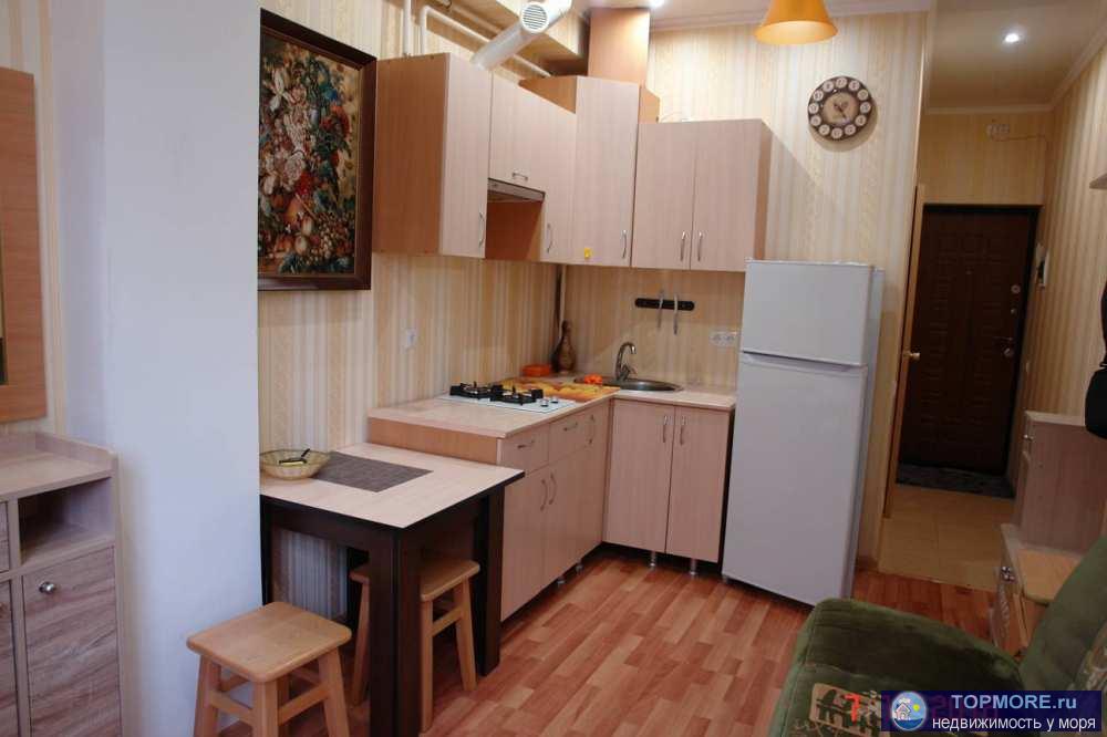 Продаю студию на Донской, переулок Чехова 8, жк Янтарный. Квартира чистая, уютная, с хорошим ремонтом, мебелью и... - 1