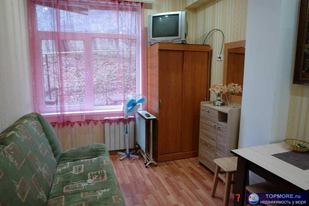 Продаю студию на Донской, переулок Чехова 8, жк Янтарный. Квартира чистая, уютная, с хорошим ремонтом, мебелью и... - 2