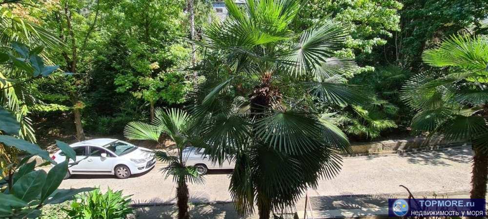 Центр Сочи. до центрального пляжа 10 мин на общественном транспорте. тихий спокойный. очень зеленый с чистым воздухом... - 1