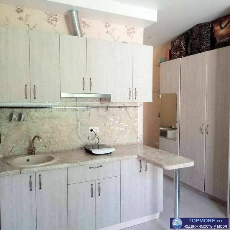 Уютная квартирка студия с ремонтом есть балкон.Красивый вид из окна. Большая придомовая парковка. В пешей доступности...