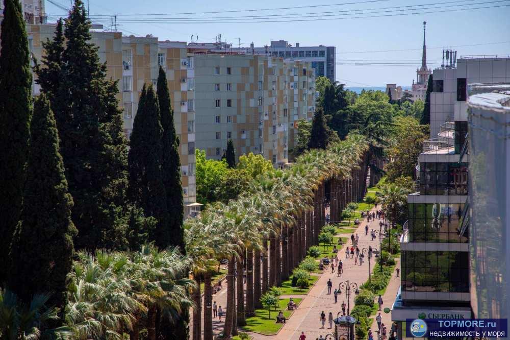 Апартаменты в центре Сочи. Центрее не бывает, только администрация города. Из номера вид на пальмы и самую лучшую и...