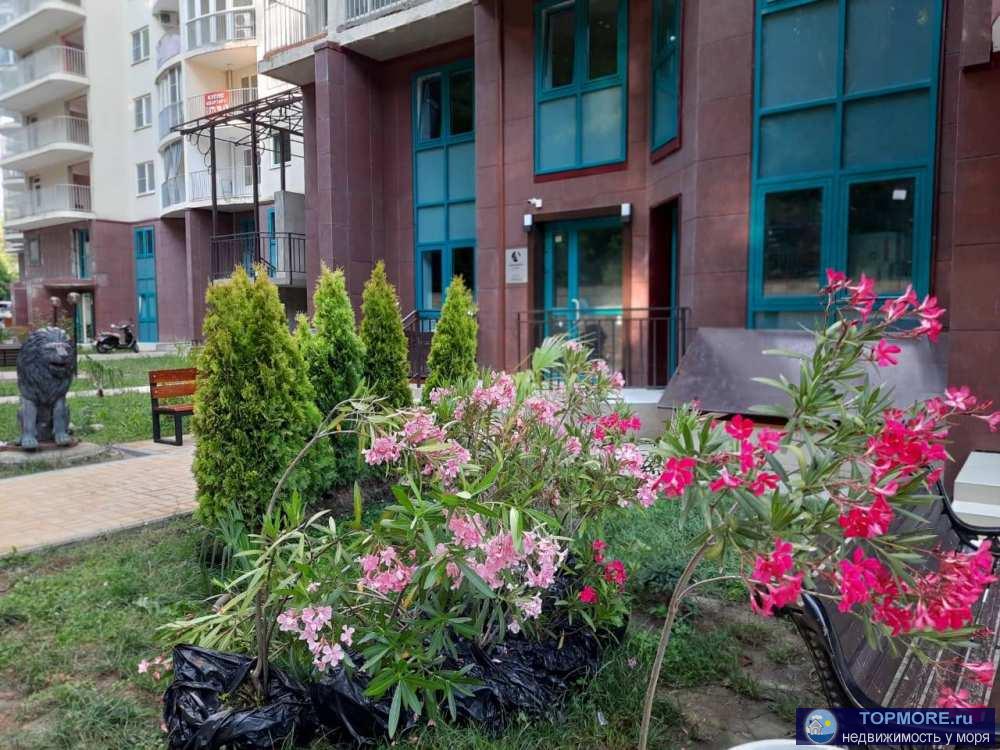 Уютные апартаменты, находятся рядом с Дендрарий, цирк, зимний театр, музеи. Развитая инфраструктура. Море буквально в... - 2