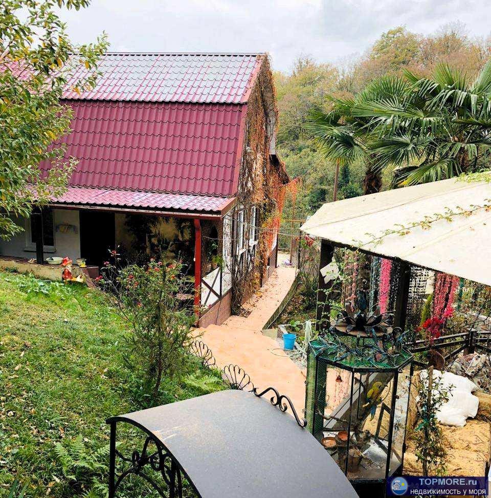 Потрясающий дом для жизни в тихом и живописном месте в гармонии с природой .  Все комуникации центральные включая газ... - 2