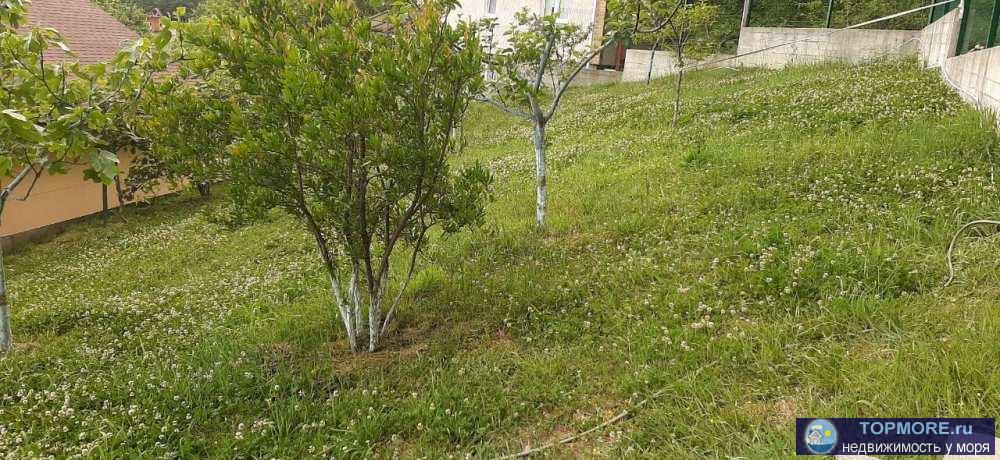 Сергейполе. 25 мин на общественном транспорте до Платановой аллеи. дорога отличная. подьезд к дому без спусков и...