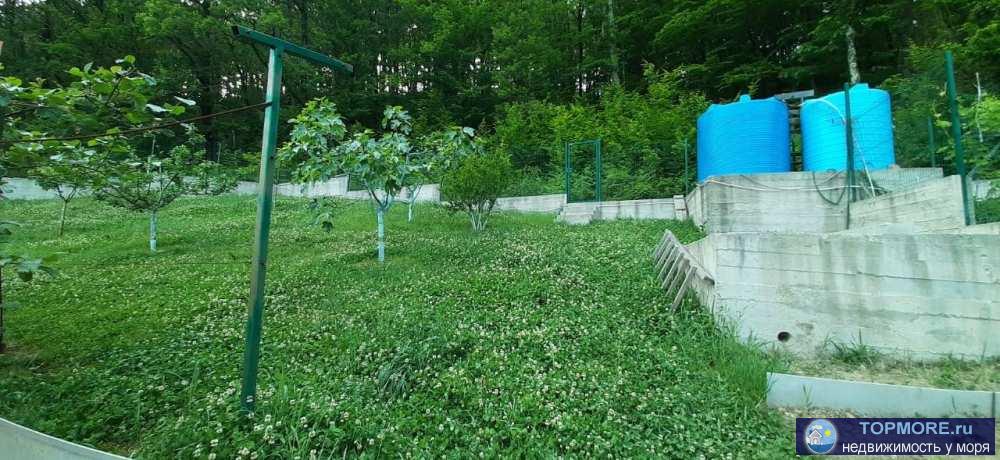 Сергейполе. 25 мин на общественном транспорте до Платановой аллеи. дорога отличная. подьезд к дому без спусков и... - 2