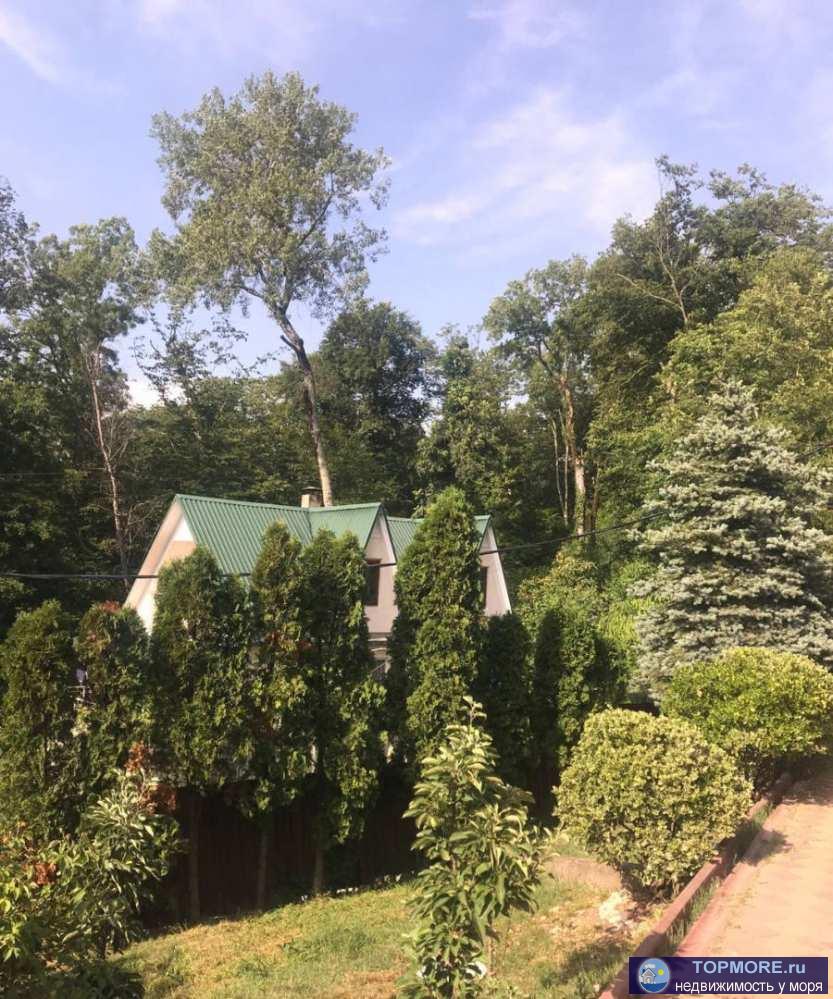 Продается капитальный дом в зеленом и спокойном районе города Мацеста. Площадь дома 200 кв, три этажа. Удачно... - 2