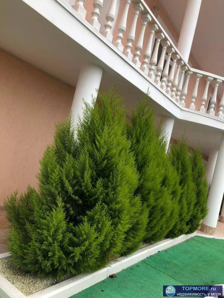 Продам Дом в экологическом и спокойном районе Сочи с видом на горы.Дата постройки дома 2016.Цоколный... - 1