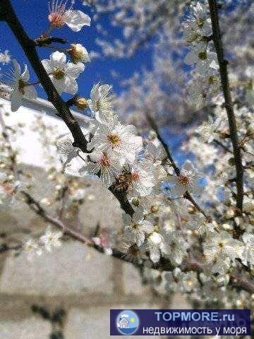 Квартиру с видом на море продам.  Отдам как есть. Без наценок. Решили переехать в частный дом. Ривьера, и этим всё... - 2