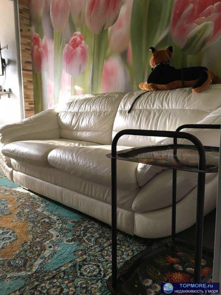 Предлагаю к продаже однокомнатную квартиру (евродвушка). Дом оборудован автономным отоплением, бесшумным лифтом,... - 1