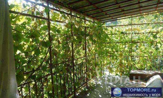 Продается домовладение 2007 г. постройки.Прописанных в доме нет. г. Геленджик, с.Возрождение от Черного моря 12км по... - 2