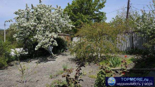 Продаю дом в прекрасном тихом месте Голубой бухты.   Участок 6 соток ,ровный,правильной формы,на участке плодоносящий...