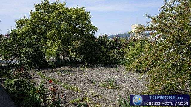 Продаю дом в прекрасном тихом месте Голубой бухты.   Участок 6 соток ,ровный,правильной формы,на участке плодоносящий... - 2