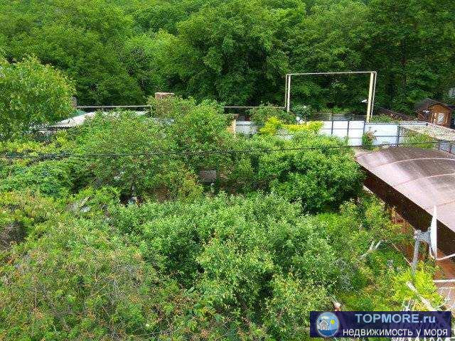 ? жилой,газ,свет,вода,плодоносный сад,огород. Все документы на право собственности, включая адресную справку. Дом...