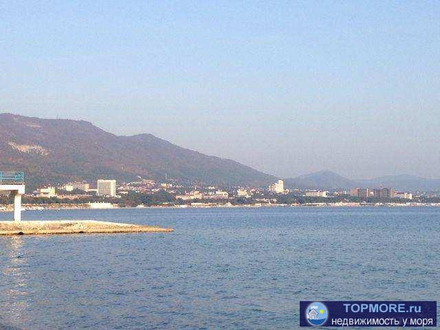 Продаем в Геленджике дом, в районе Голубой бухты. Море рядом , ремонт , плодоносный сад. парковочное место....