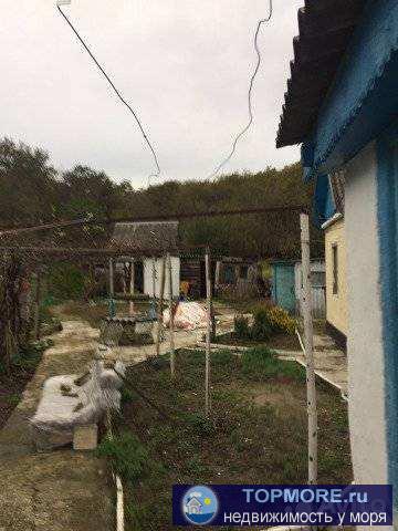 Продаю дом в живописном месте . Торг уместен .