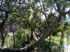 Продается часть дама. (отдельная двухкомнатная квартира) на...