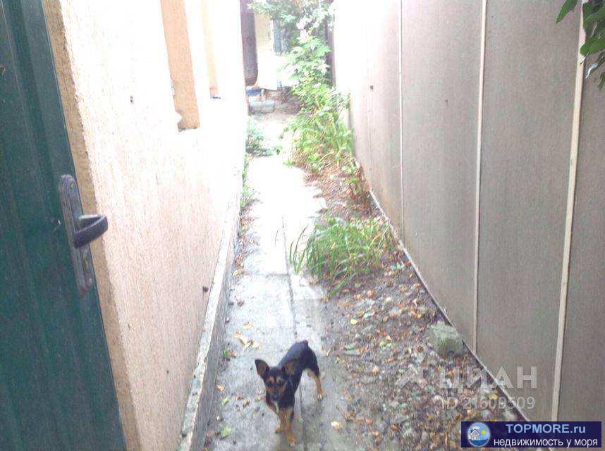 Дом находится в центре города в 10 минутах ходьбы до центральной набережной и остановок общественного транспорта. Все... - 2