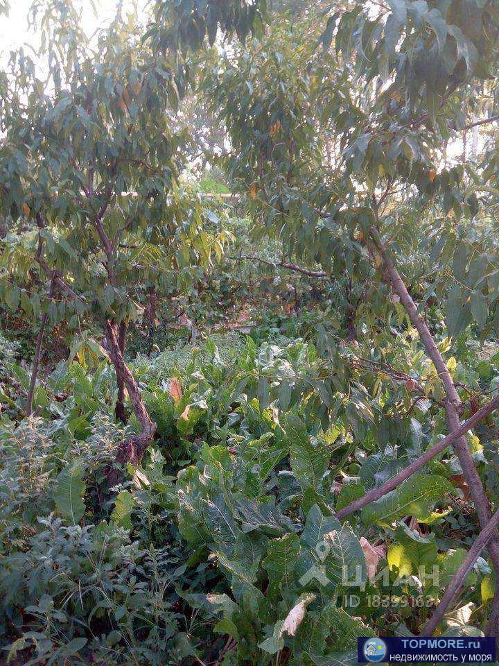 продам дом в поселке Светлом на земельном участке 11 соток. большой фрутовый сад. Дом старый саманный (пригодный для... - 1