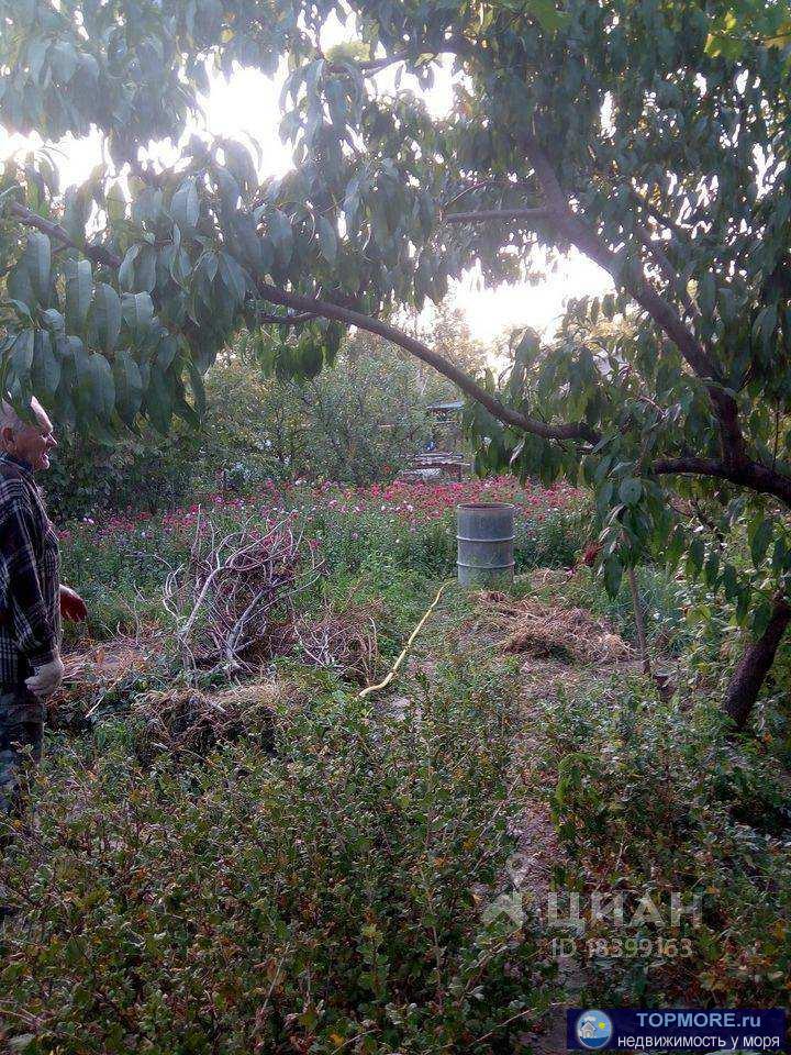 продам дом в поселке Светлом на земельном участке 11 соток. большой фрутовый сад. Дом старый саманный (пригодный для... - 2