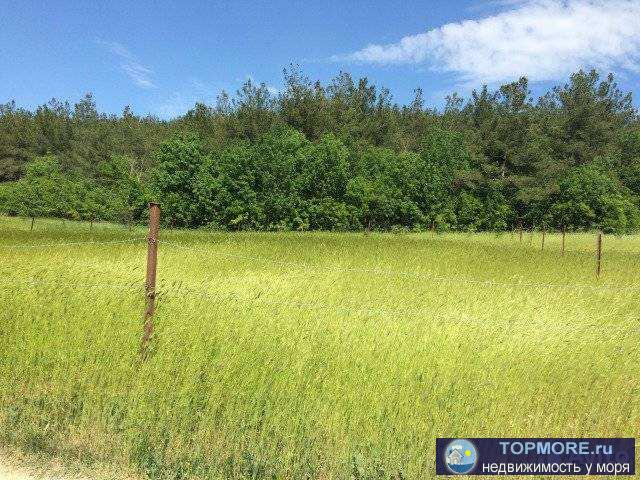В тихом районе (п.Светлый). Участок правильной формы, чистый, ровный.