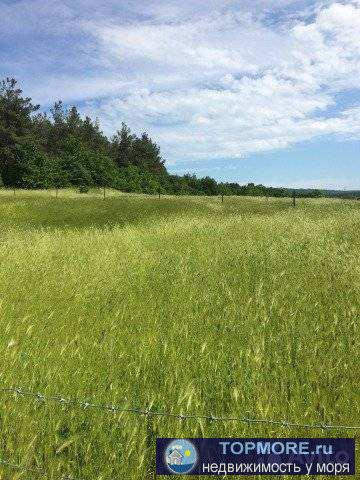 В тихом районе (п.Светлый). Участок правильной формы, чистый, ровный. - 1