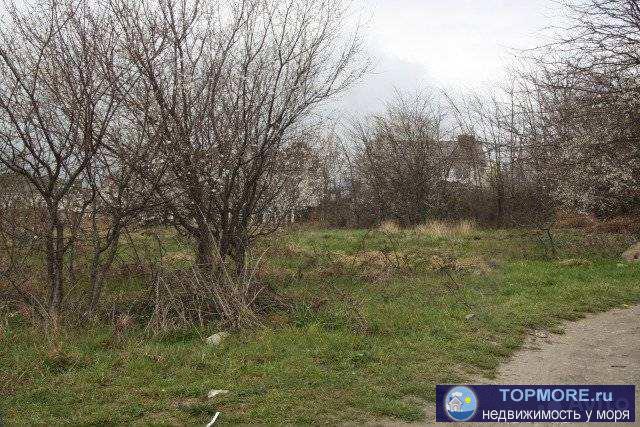 Продам земельный участок, расположенный по ул. Лазаревской. Земельный участок ровный, правильной формы. Согласно... - 2