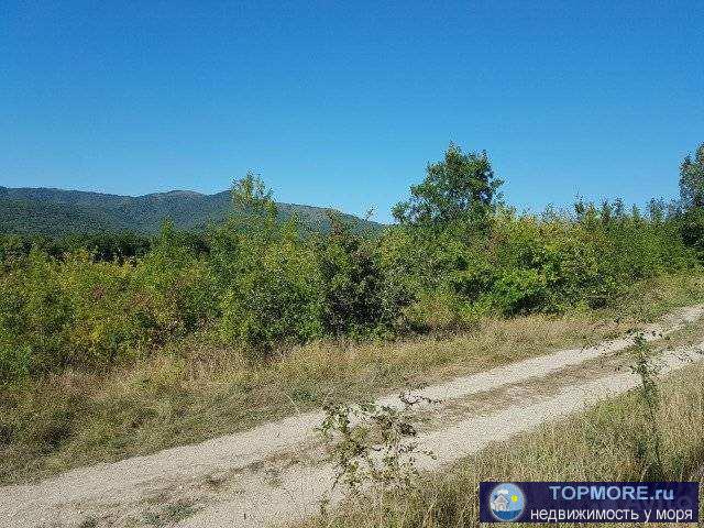 Продаю земельный участок сельхоз. назначения, ровный, площадью 1,28 га., возможна продажа частями от 5 сот. Цена 73...