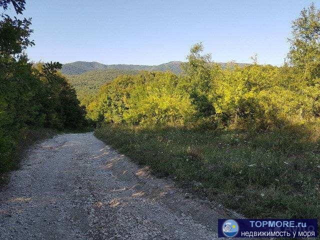 Продаю земельный участок сельхоз. назначения, ровный, площадью 1,28 га., возможна продажа частями от 5 сот. Цена 73... - 1