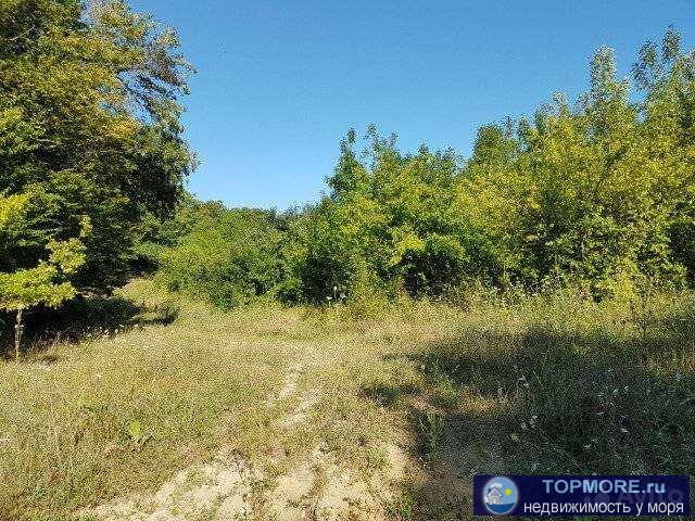 Продаю земельный участок сельхоз. назначения, ровный, площадью 1,28 га., возможна продажа частями от 5 сот. Цена 73... - 2