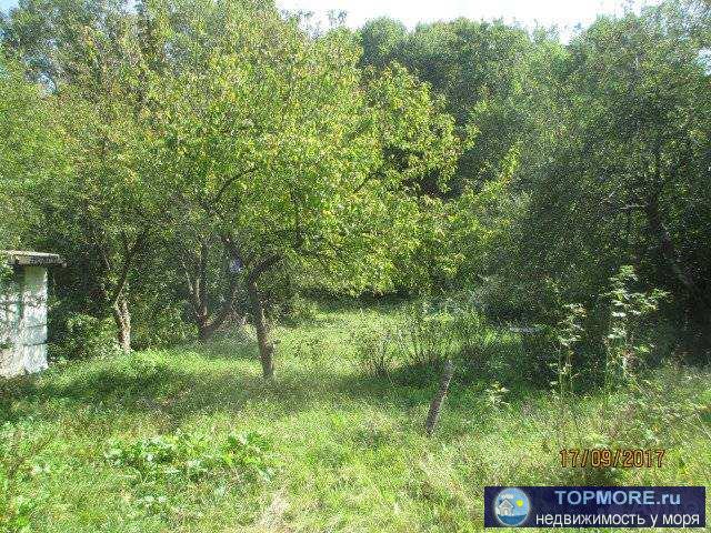 Земельный участок (дом в придачу). Газ (по меже), вода (колодец), электричество. Речка рядом. Центр - три квартала от... - 2