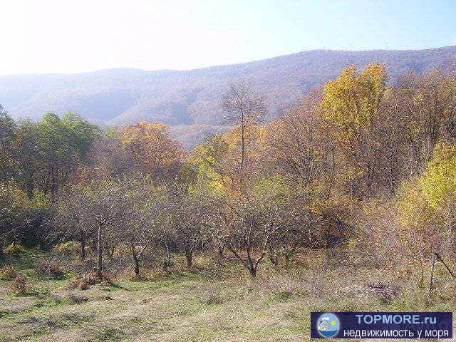 Продам участок в с.Адербиевка, площадью 1 Га. Торг реальному покупателю !