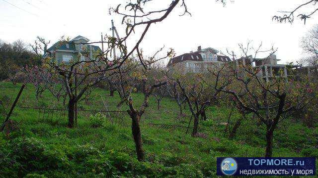 срочно! Продам земельный участок под строительство с видом на море , с плодоносящим персиковым садом. Участок...