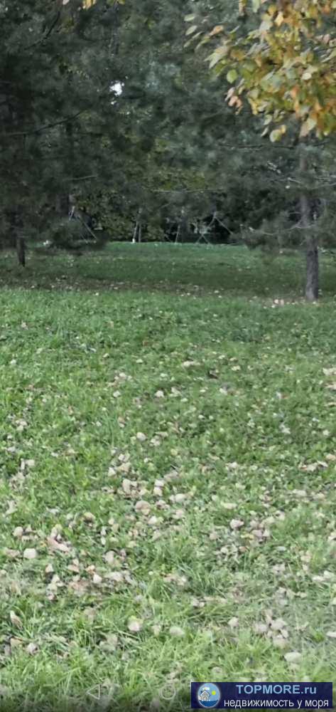 Три участка в Хостинском районе (ИЖС), не далеко от федеральной трассы, рядом речка, участки пологие. Получены ТУ на...