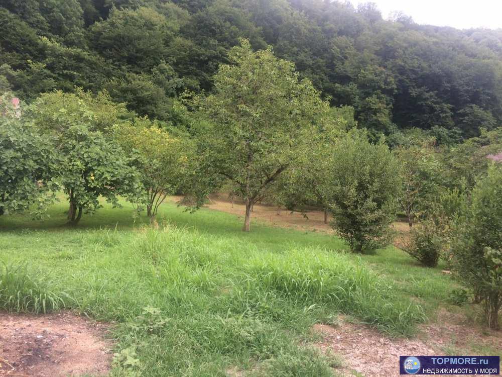 В идеальном месте, всё в шаговой доступности море, удобно доезжать до красной поляны , аэропорта или жд вокзала. 