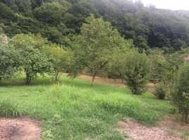 В идеальном месте, всё в шаговой доступности море, удобно доезжать...