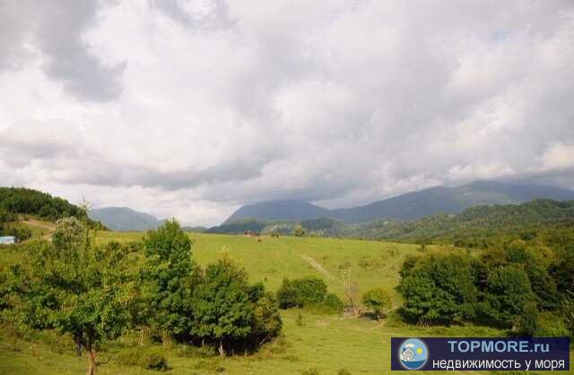 Ровный участок , назначение спортивно-оздоровительный комплекс, гольф клуб, в том числе четырёх звёздочная гостиница...