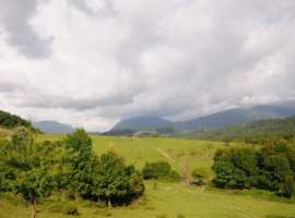 Ровный участок , назначение спортивно-оздоровительный комплекс,...