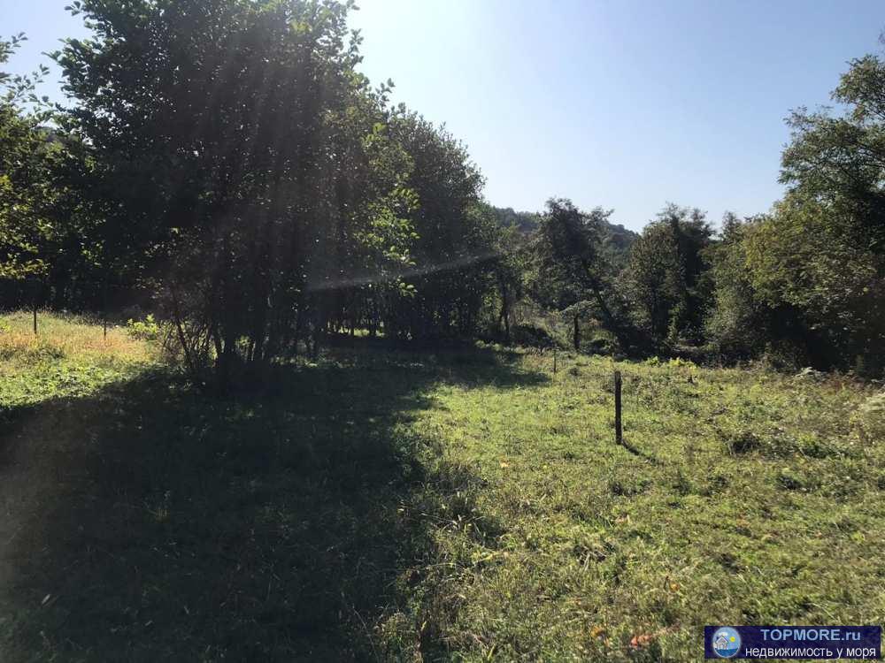 Продаю или меняю на квартиру в Сочи земельный участок. Выслушаю все предложения по телефону.