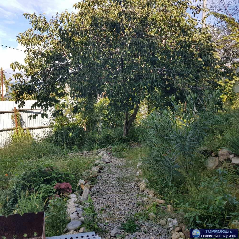 Продается земельный участок. Категория: земли населенных пунктов - для садоводства. свидетельство о государственной...